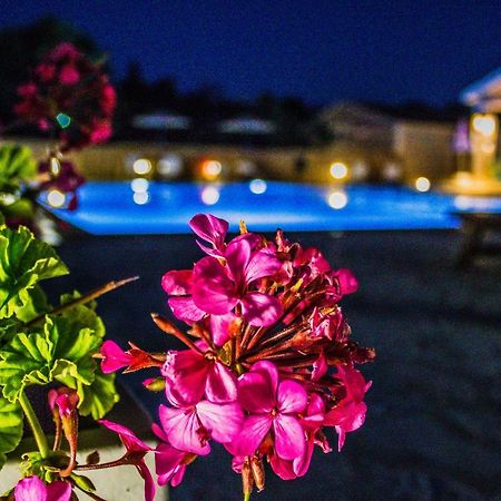 Astrakeroula Corfu Apartment Astrakeri ภายนอก รูปภาพ
