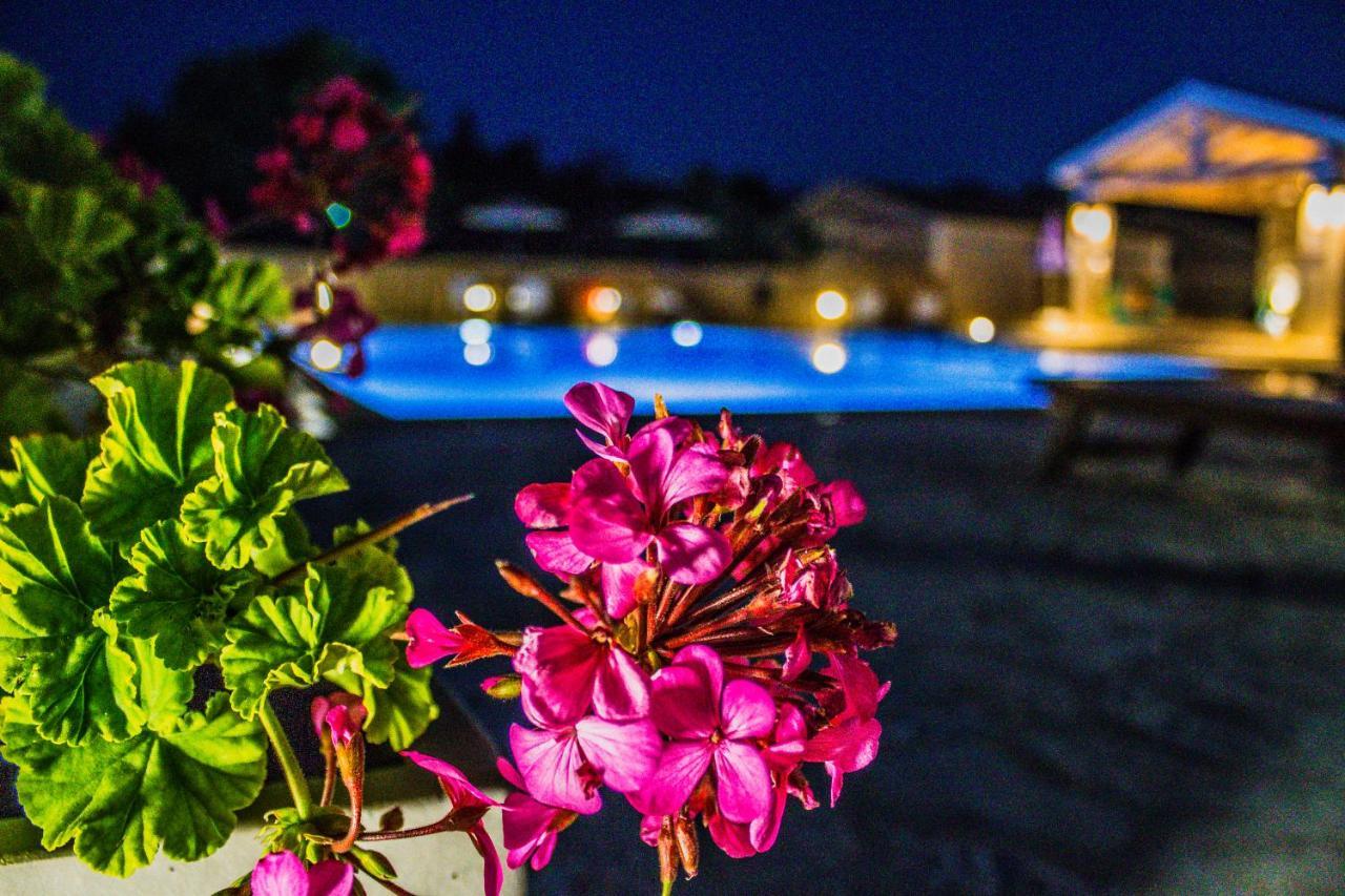 Astrakeroula Corfu Apartment Astrakeri ภายนอก รูปภาพ