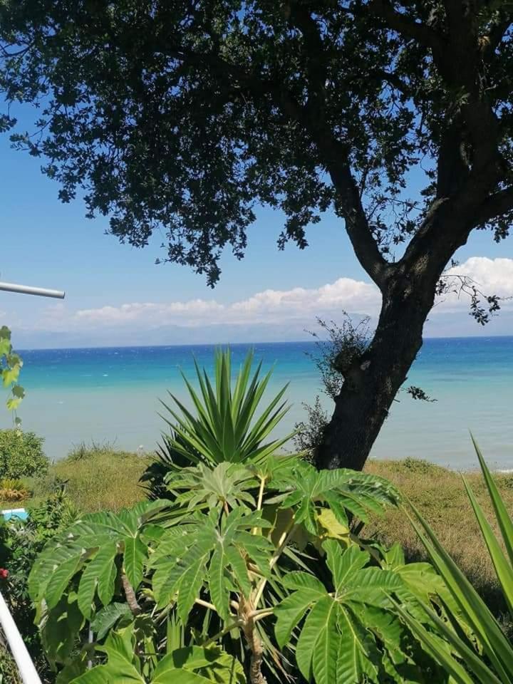 Astrakeroula Corfu Apartment Astrakeri ภายนอก รูปภาพ